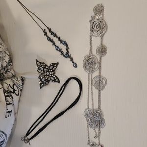 Jewlery Necklaces and Pin